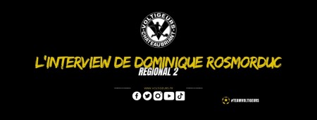 L'interview de Dominique Rosmorduc 