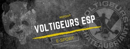 Les voltigeurs débutent dans le E-Sport