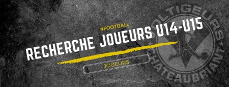 Les U14-U15 recherchent des joueurs !