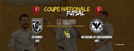 Voltigeurs - TA Rennes